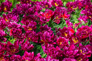 Similar image 12582550