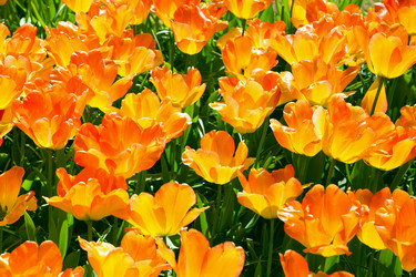 Similar image 12582551