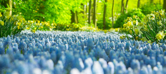 Similar image 12582585