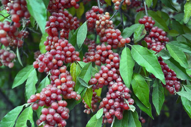 Similar image 12581390