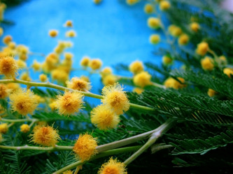 Similar image 12581441