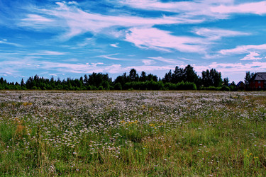 Similar image 12581392