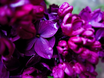 Similar image 12581448