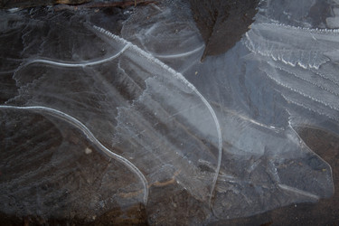 Similar image 12580876