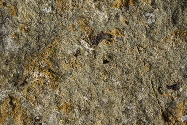 Similar image 12585202