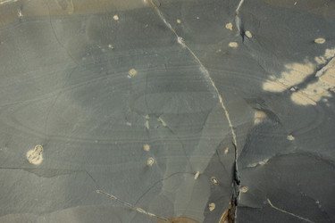 Similar image 12585203