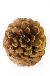 Similar image 12585207