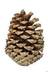 Similar image 12585208