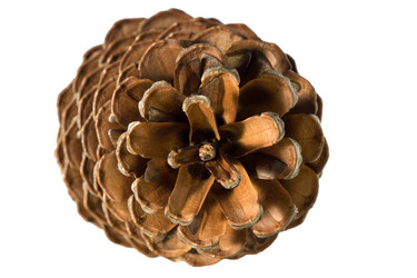 Similar image 12585209