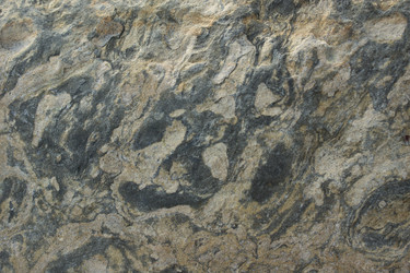 Similar image 12585228