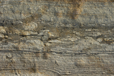 Similar image 12585231