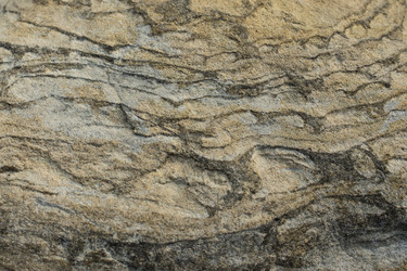 Similar image 12585232