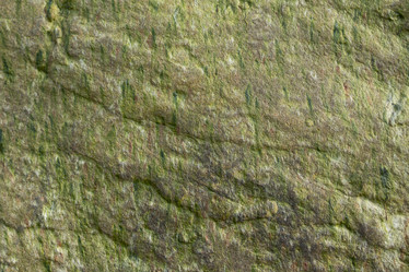 Similar image 12585212