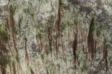 Similar image 12585213