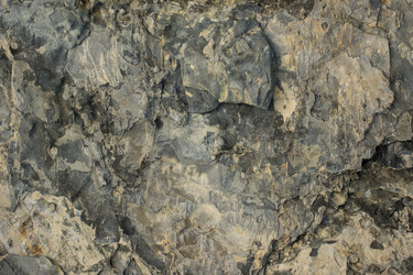 Similar image 12585214