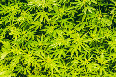 Similar image 12658677