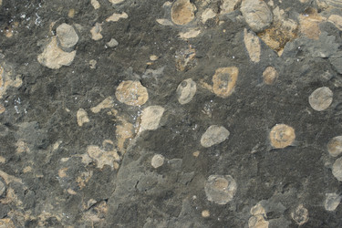 Similar image 12585216