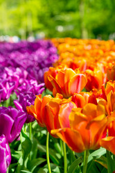 Similar image 12582554