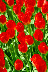 Similar image 12582556