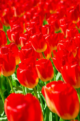 Similar image 12582557