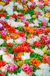 Similar image 12582564