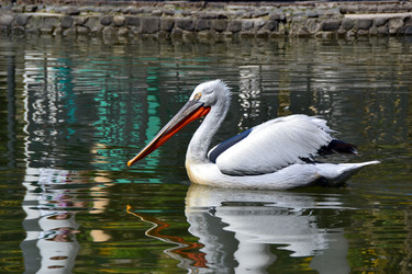 Similar image 12581399