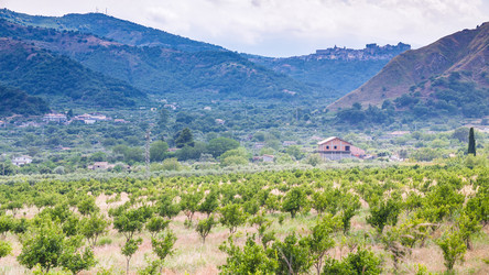 Similar image 12686654