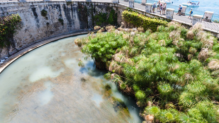 Similar image 12686655