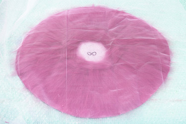 Similar image 12686693