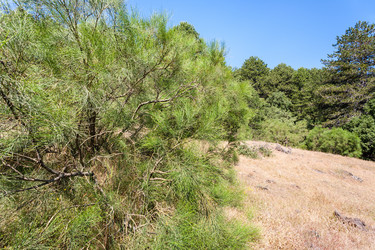 Similar image 12686818