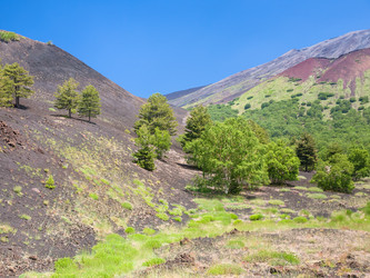 Similar image 12686852