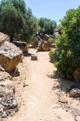 Similar image 12686855