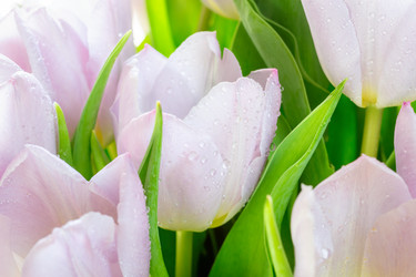 Similar image 12581411