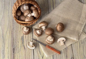 Similar image 12581494