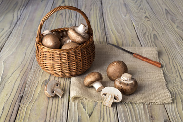 Similar image 12581495