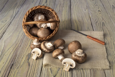 Similar image 12581496