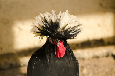 Similar image 12581413