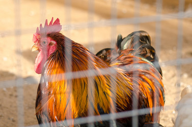 Similar image 12581414