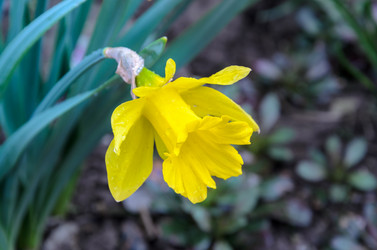 Similar image 12592894