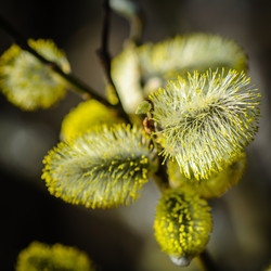 Similar image 12592898