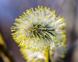 Similar image 12592899