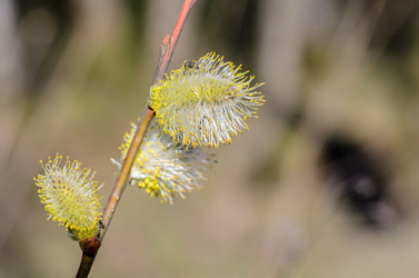 Similar image 12592902