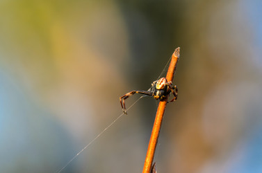 Similar image 12592904