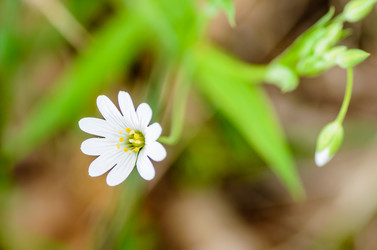 Similar image 12592905