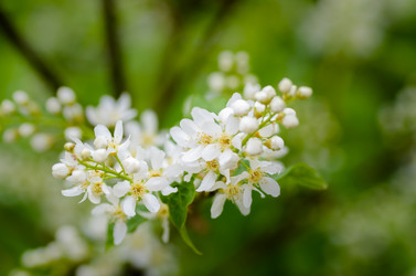 Similar image 12592906