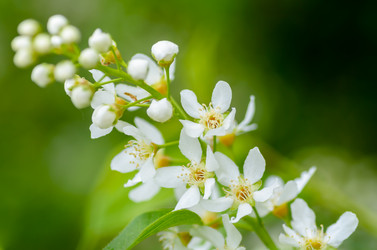 Similar image 12592907