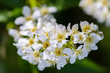 Similar image 12592918