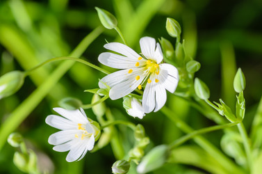 Similar image 12592919