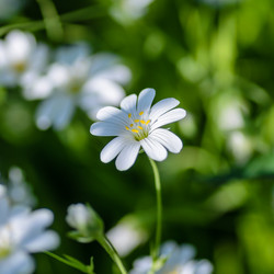 Similar image 12592923