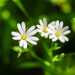 Similar image 12592924